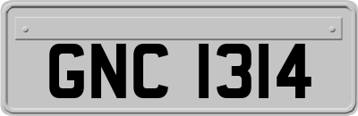 GNC1314