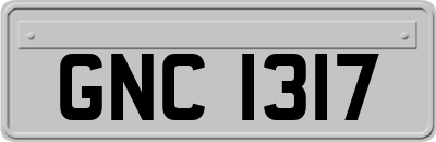 GNC1317