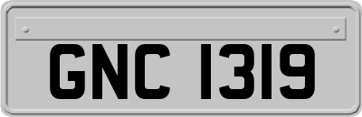 GNC1319