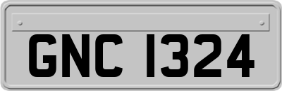 GNC1324