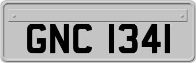 GNC1341