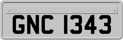 GNC1343