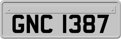 GNC1387