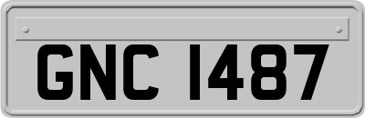 GNC1487