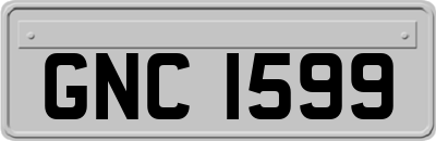 GNC1599