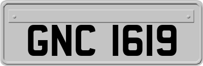 GNC1619