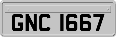 GNC1667