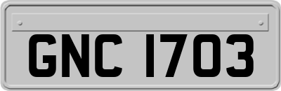 GNC1703