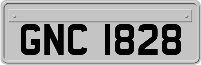 GNC1828