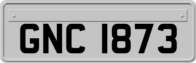 GNC1873