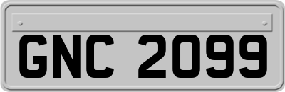 GNC2099