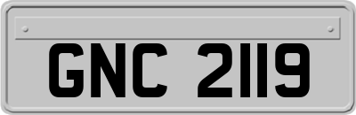 GNC2119