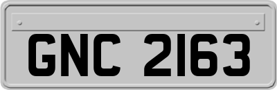 GNC2163