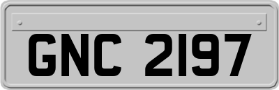 GNC2197