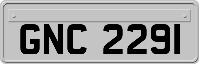 GNC2291