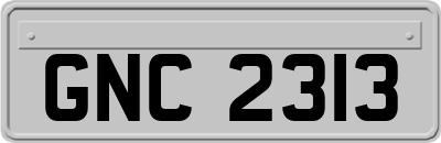 GNC2313