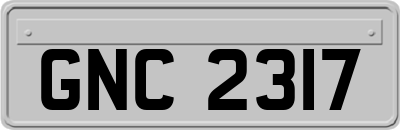 GNC2317