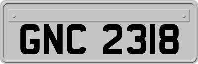 GNC2318