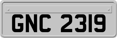 GNC2319