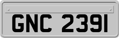 GNC2391