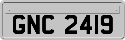 GNC2419