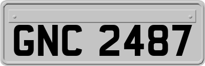 GNC2487