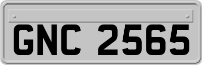 GNC2565