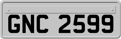 GNC2599