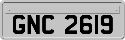 GNC2619