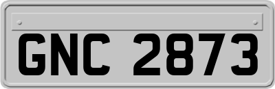 GNC2873