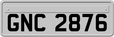 GNC2876