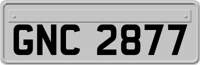 GNC2877