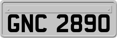 GNC2890