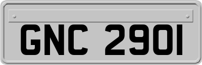 GNC2901