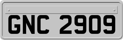 GNC2909