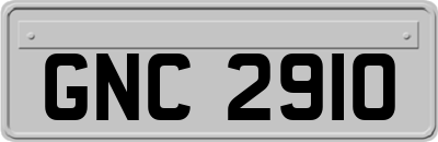 GNC2910