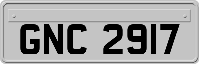GNC2917