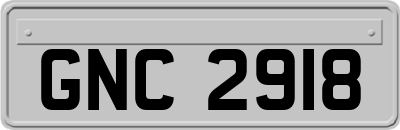 GNC2918
