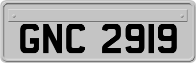 GNC2919