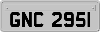GNC2951
