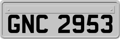 GNC2953