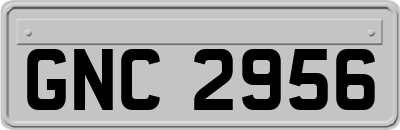 GNC2956
