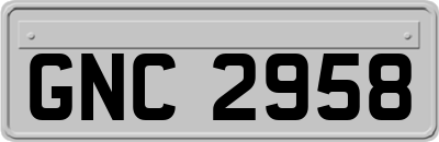 GNC2958