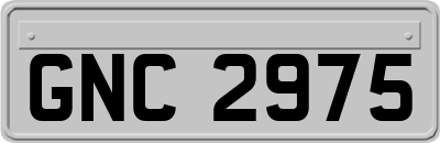 GNC2975