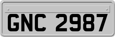 GNC2987