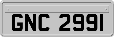 GNC2991