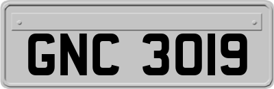 GNC3019