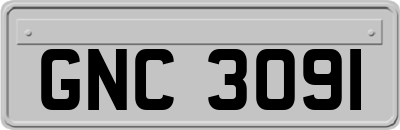GNC3091