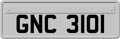 GNC3101
