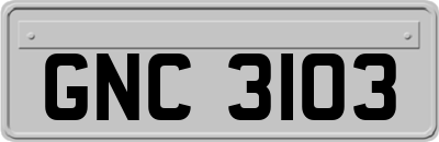 GNC3103